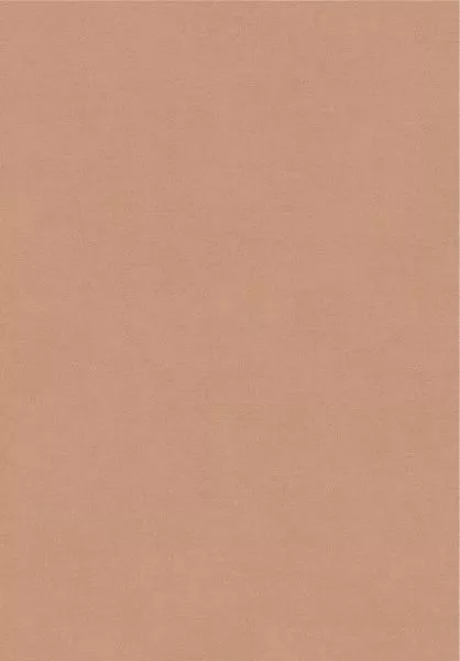 Rythm RYT005 Camel