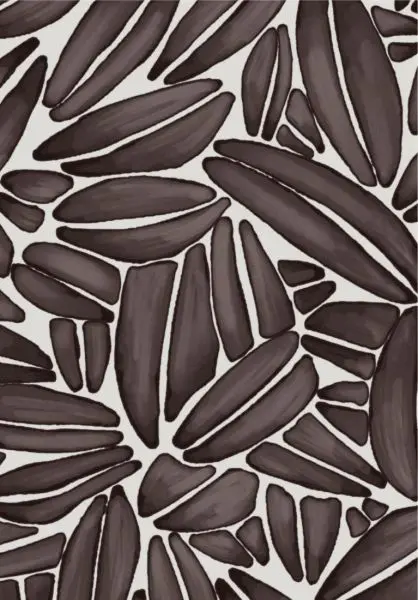 Succulente TP301 02