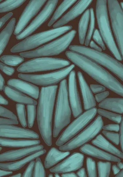 Succulente TP301 03