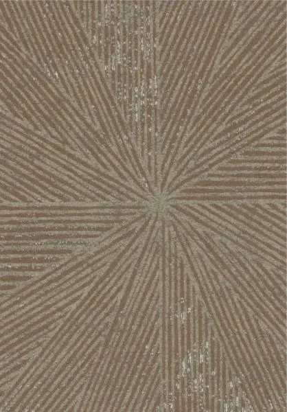 Grand hôtel Stardust TP336 09