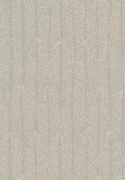 Ayo Lunar TRI503