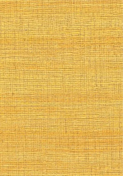 Rhéa VP1008 21 Briller de mille feux