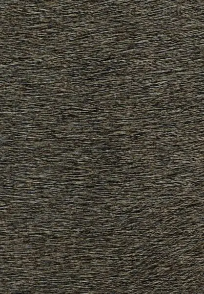 Indomptee Movida VP625 39