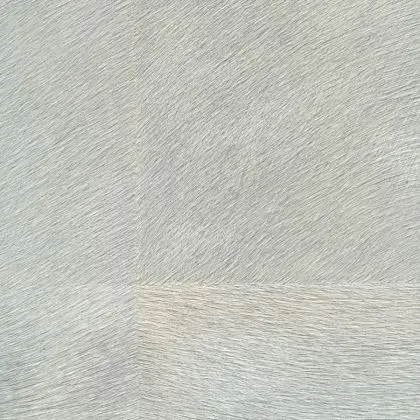 Mémoires Loup VP656 01