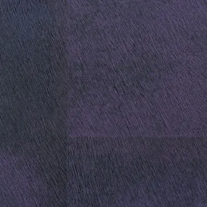 Mémoires Loup VP656 08