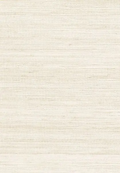 Panama Musa VP710 04