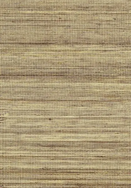 Panama Musa VP710 12