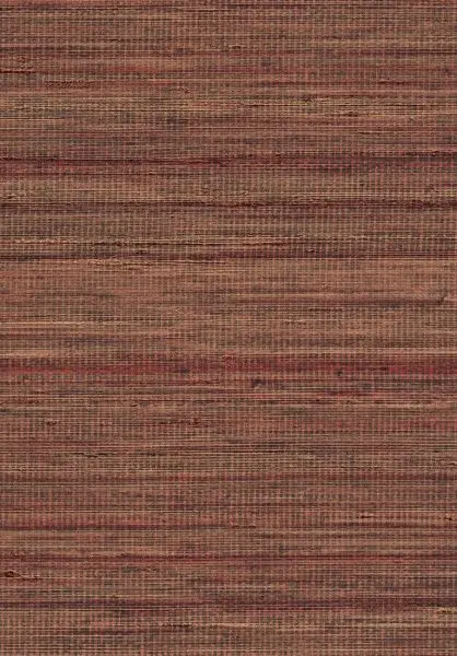 Panama Musa VP710 16