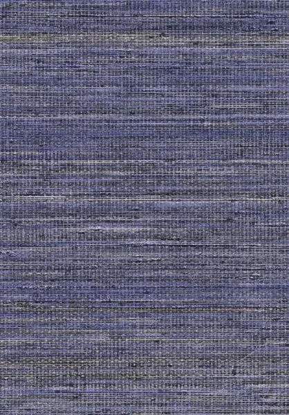 Panama Musa VP710 18