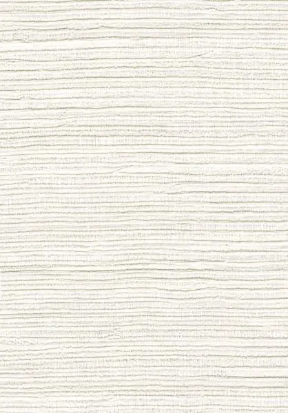 Panama Dandy VP711 01