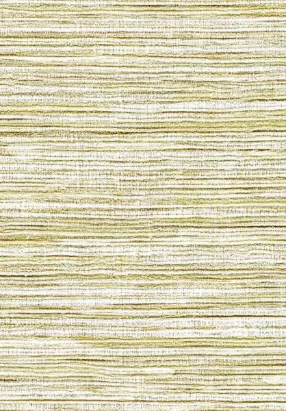 Panama Dandy VP711 02