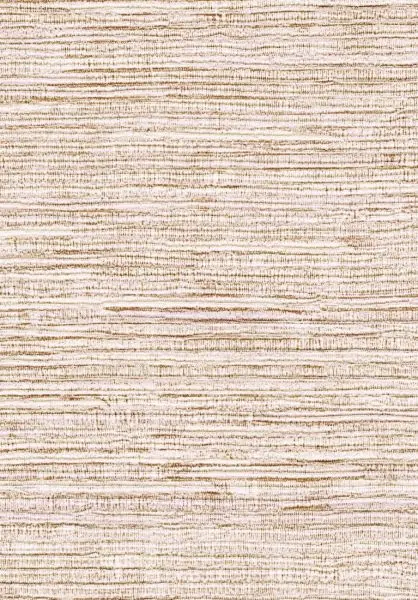Panama Dandy VP711 07