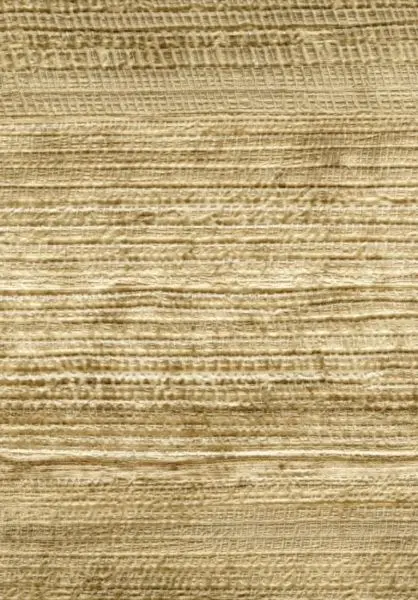Sinabaye VP725 07