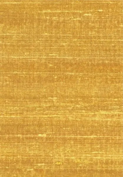 Kosa silk VP928 21 Ebloui la ville