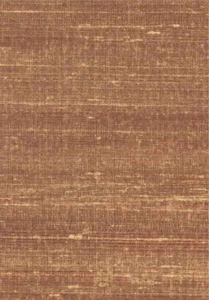Kosa silk VP928 70 Bercé de lumière