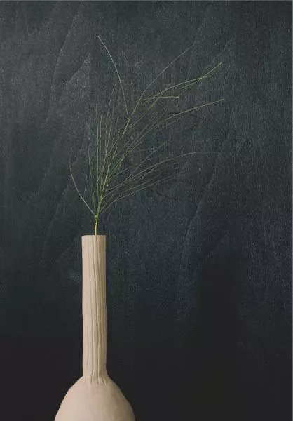 Gouge VP936 80 Wengué