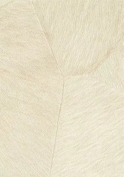 Pampa VP967 01