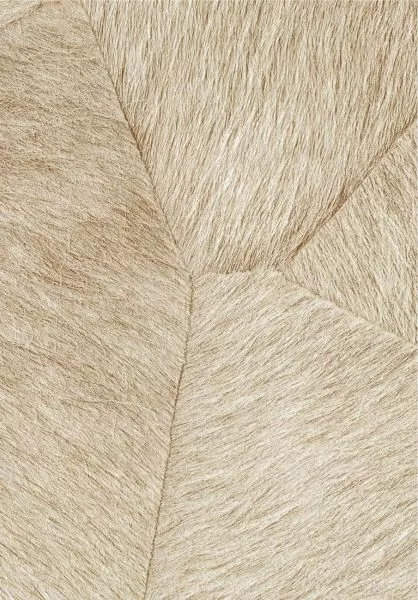 Pampa VP967 02