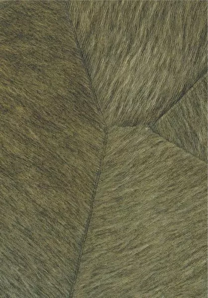 Pampa VP967 62