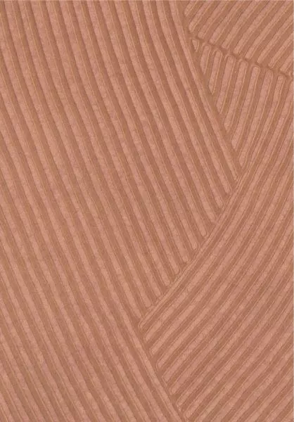 Circolo VP976 51