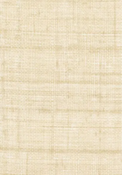 Abaca VP983 04