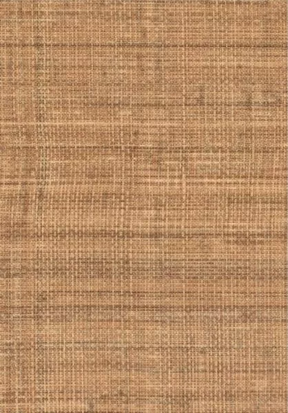 Abaca VP983 17