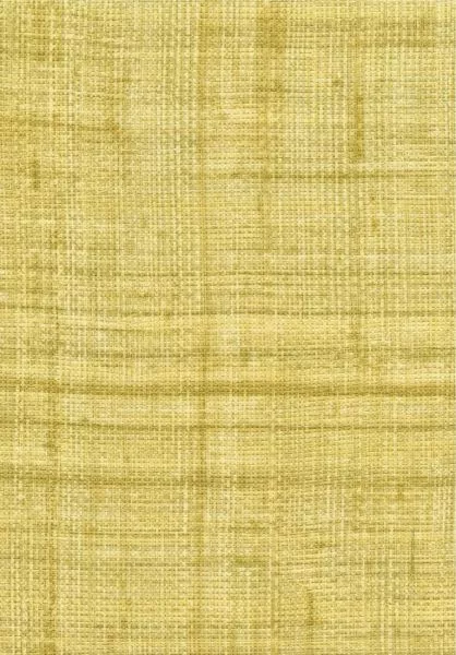 Abaca VP983 60