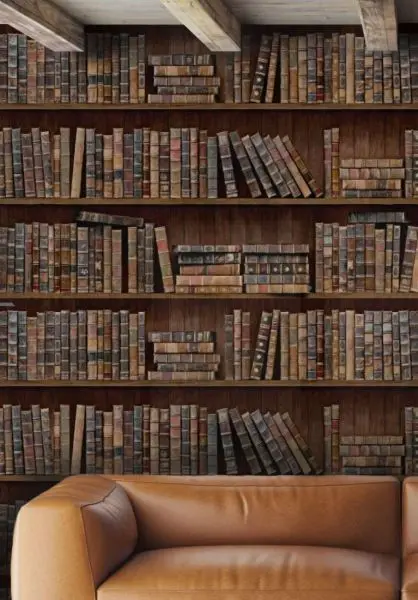 Book Shelves WP20112