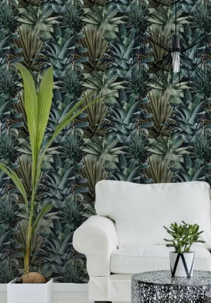 Lush Succulents WP20164