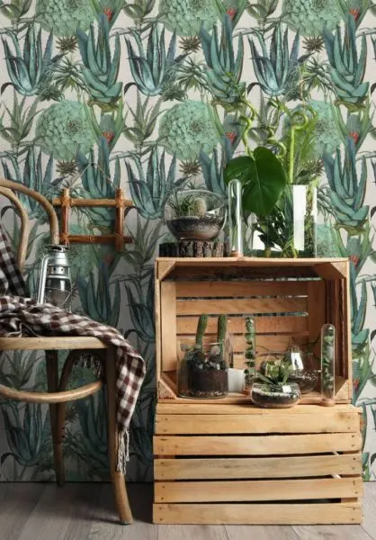 Succulentus WP20168