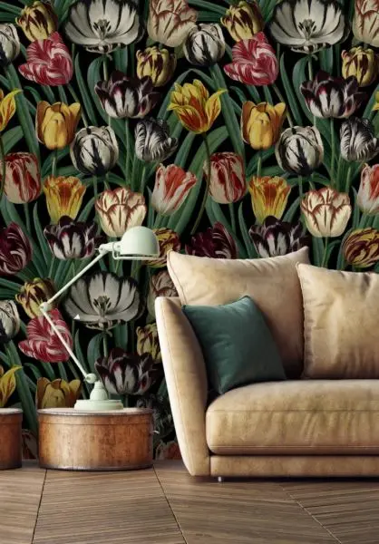 Tulipa WP20178