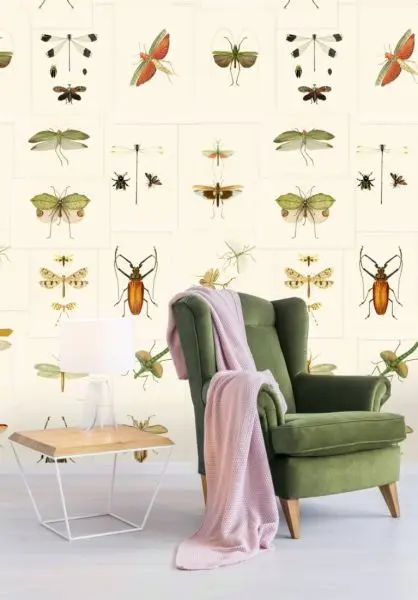 Entomology WP20233