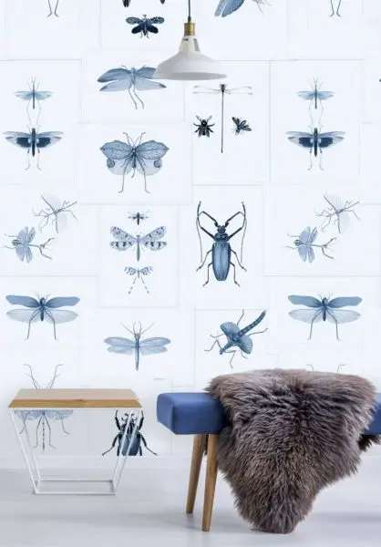 Entomology Blue WP20235