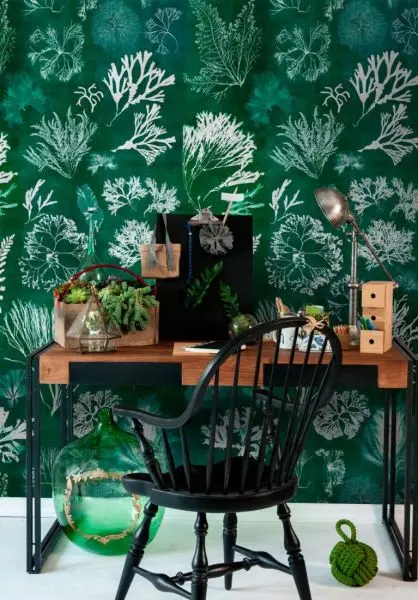 ALGAE Moss WP20296