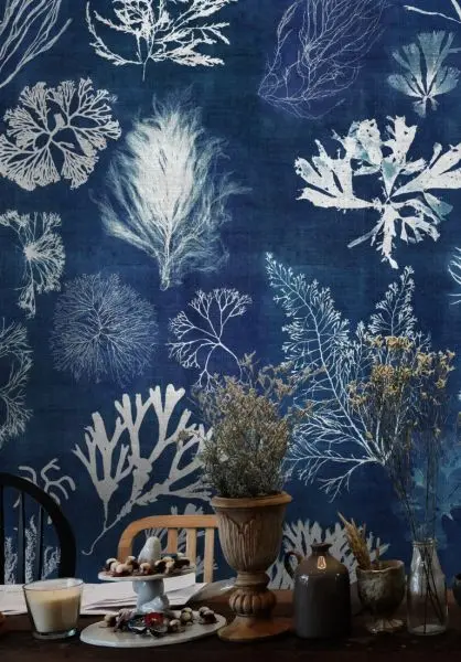 ALGAE Navy blue WP20297