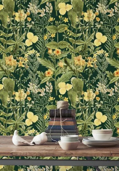 MIMULUS Anthracite WP20322