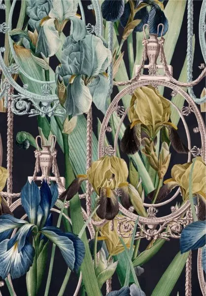 FLEURS D'IRIS WP20477
