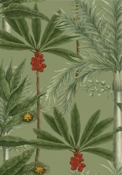 MADAGASCAR WP20520
