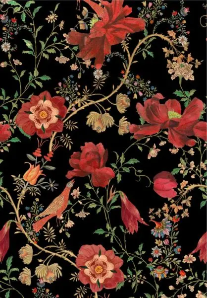 TRANSSILVANIAE FLORILEGIUM Dark WP20557