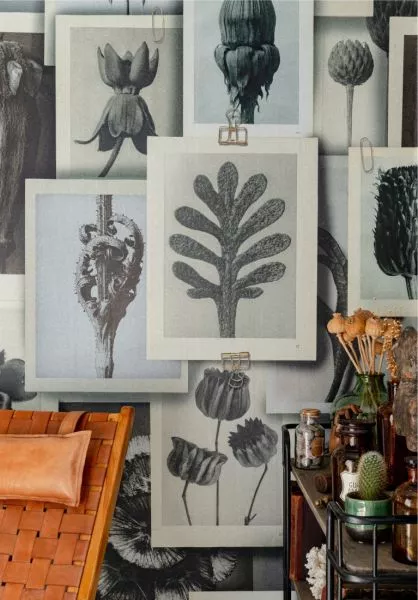 BLOSSFELDT'S ART FORMS WP20595