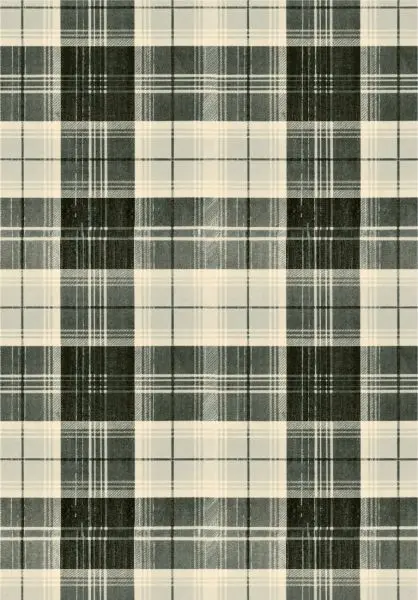 COUNTRYSIDE PLAID Charcoal WP30011