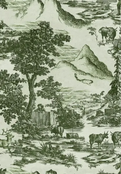 TOILE DU TYROL Evergreen WP30146