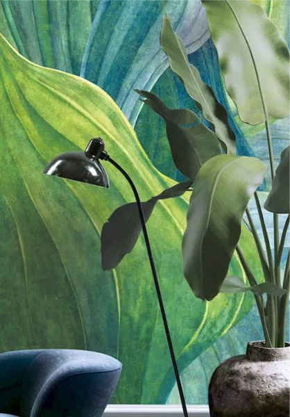 Khroma Hosta Aqua DG2HOS101