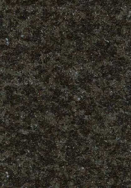 Bearded Leopard MO2052